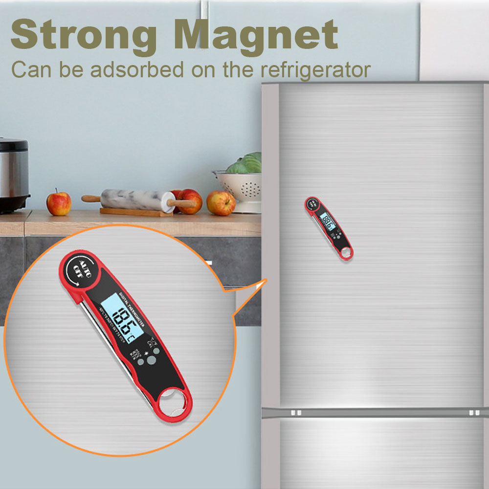 Termometro Digitale per Carne  - Kitchen Gadgets Air Fryer recensione e prezzo